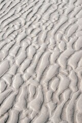 Scenic view of a tranquil beach scene in Langeoog, North Sea.