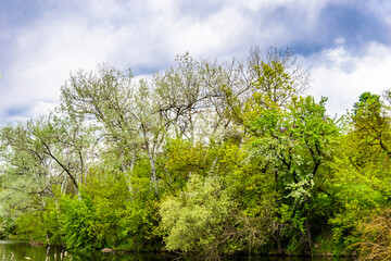 Beautiful horizon scenery in village meadow on color natural background