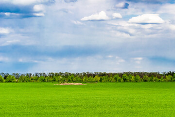 Obraz premium Beautiful horizon scenery in village meadow on color natural background
