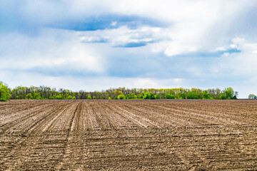 Photography on theme big empty farm field for organic harvest