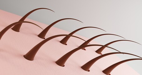 3d illustration of stylized hair and skin.  Several rows of hair on pink light skin, neutral background