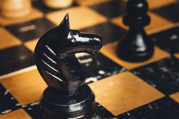 Chess piece. A black knight on a chessboard.