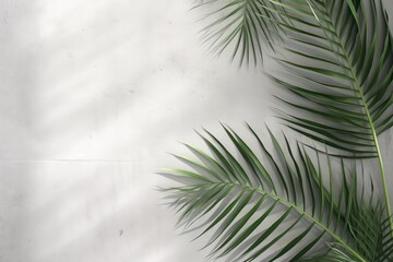 Tropical Palm Leaves Cast Shadows On Concrete Background