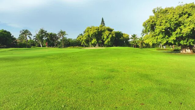 Landscape of a park with a green grassy meadow on the side of a golf course. Sunlight and torch lantern concept. Active type of recreation. Landscape fairway with trees and a field of green grass.