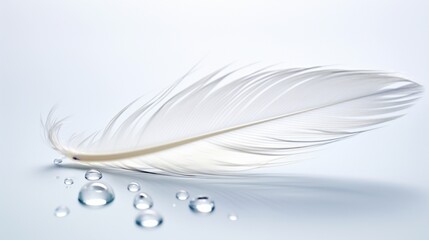 A detailed macro shot of a water droplet resting on a delicate feather, set against a white background.