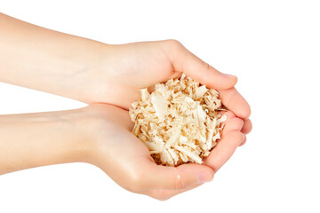 A handful of wood shavings. Isolate on a white background.