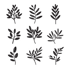 Olive brunch set. laurel branch hand dravn Vector illustration