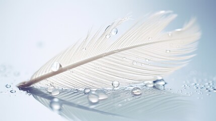 A feather covered in fine morning dew droplets, each droplet reflecting light, set on a white canvas.