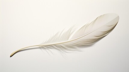 A feather with a unique split in its vane, adding character, set against a pristine white canvas.