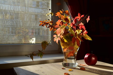 autumn still life with burgundy apple
