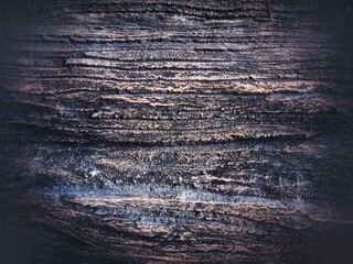 Close-up of tree trunk. Concrete wood texture. Tree bark texture of the cement relief plaster wall...