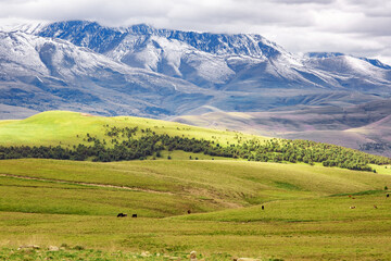 Obraz premium Panoramic view of the Caucasus Mountains with snowy slopes in autumn