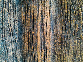 Obraz premium Close-up of tree trunk. Concrete wood texture. Tree bark texture of the cement relief plaster wall with natural color paint.