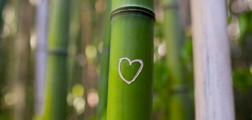 Carved heart at bamboo trunk