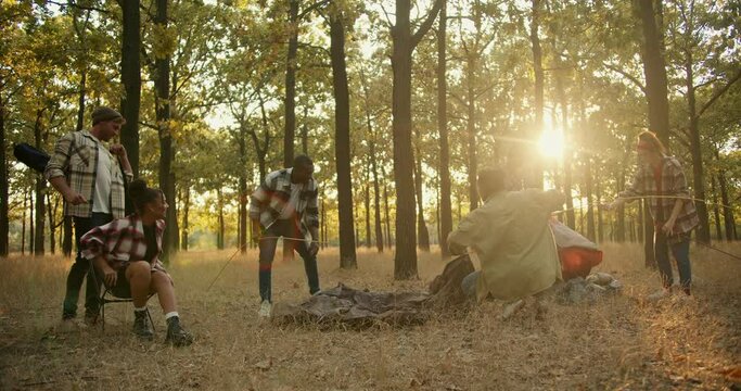 A happy team of six people on a hike arrange their things and set up a tent to spend the night in a summer green forest with withered grass. A break during a group hike in the summer forest