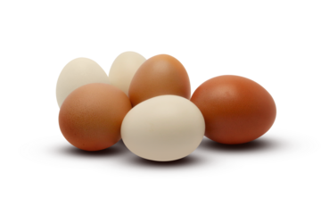 White and brown eggs on transparent background