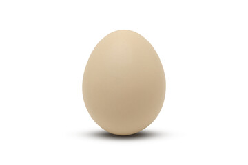 White egg transparent background png