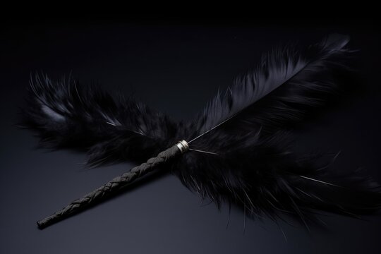 elegant, black feather tickler on a dark surface