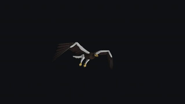 Sea Eagle - Flying Loop - Side Angle View - Realistic 3D animation isolated on transparent background with alpha channel