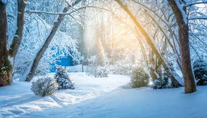Foto op Canvas 冬の森　雪　クリスマス　Generative AI © RD02_AG