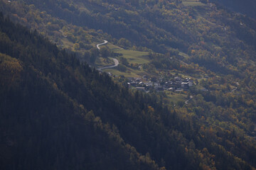 forest near Visperterminen in autumn