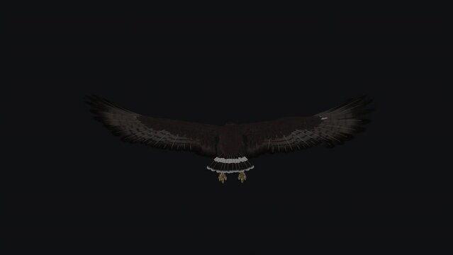 Black Hawk - Flying Loop - Back View CU - Realistic 3D animation with alpha channel isolate on transparent background
