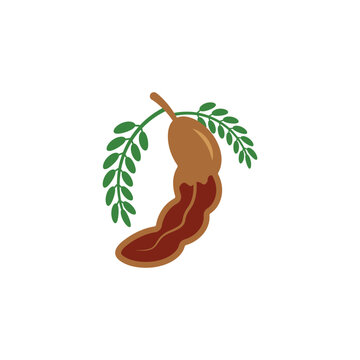brown tamarind fruit with green leaves clip art preview