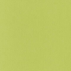 vintage background with lime green paper