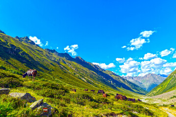 Fototapeta premium Das Lareintal, Seitental des Paznauntals in Tirol (Österreich)