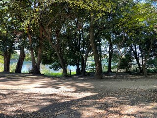 とても天気の良い日