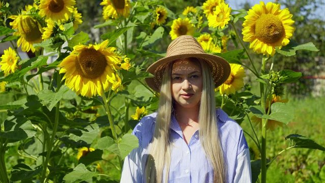 A beautiful Caucasian woman is looking at the camera and smiling against a background of sunflowers. Nature paints everything around with bright colors. High quality 4k footage