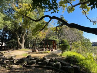 とても天気の良い日