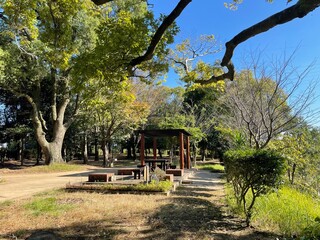 とても天気の良い日