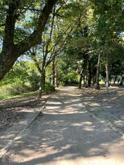 とても天気の良い日