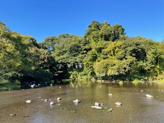 とても天気の良い日