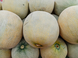 Melons. Melon at the market stall for sale. Group of melons in the market.