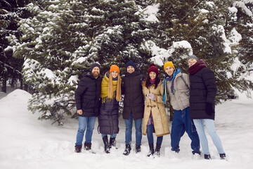 Portrait of group of cheerful young friends enjoying winter winter resort and vacation. Smiling men and women in warm winter clothes hug and pose standing against backdrop of large snow-covered tree.