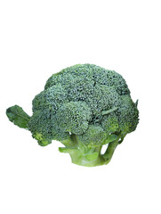 broccoli isolated on white background