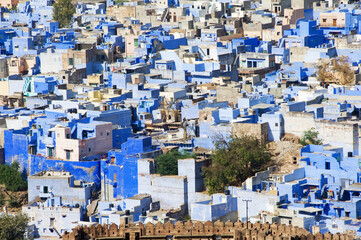 Jodhpur, Blue painted houses, Rajasthan, India