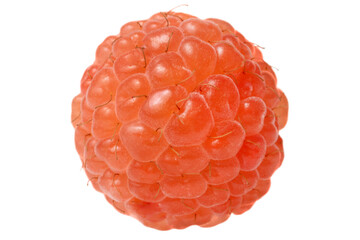 Orange raspberry isolated on a transparent background.