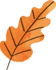 Watercolor Hand draw autumn leaves - 670471020