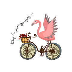 Today I'm Just Flamazing, Beautiful Pink Flamingo Illustration With Lovely Cycle And Slogan