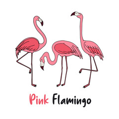 Pink Flamingo T-shirt Design For Flamingo Lovers