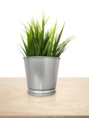 green plants in pots decorative plant pots On a wooden table, white background