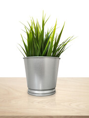 green plants in pots decorative plant pots On a wooden table,  PNG transparent