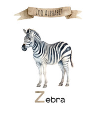 Fototapeta na wymiar Watercolor Zoo alphabet. Z letter zebra animal for children education, home or kindergarten.
