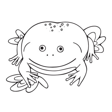 Outline Budgett's frog. Funny toad with smile on cute muzzle. Exotic amphibian, tropical animal, contour rainforest froggy, swamp fauna. Lineart isolated vector illustration on white background