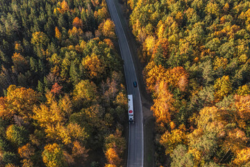 Aerial view of a road passing through a colorful autumn forest