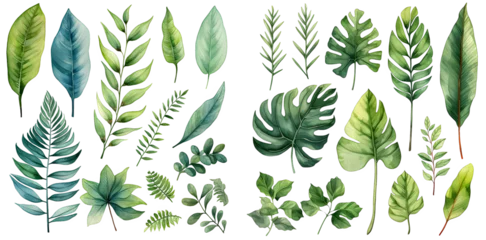 Fototapete Tropische Blätter Tropical leave watercolor illustration clipart. Generative AI.