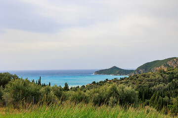 Fototapeta na wymiar View through olive trees to the moving sea near Agios Georgios on the island of Corfu under overcast skies